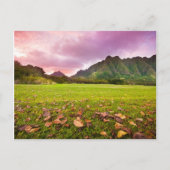 Jurassic Sunset Postkarte (Vorderseite)