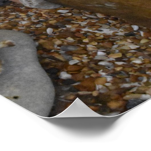 Jurassic Times. Poster (Ecke)