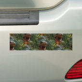 Jurassische Dinosaurier Autoaufkleber (Auf Auto)