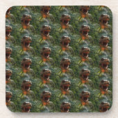 Jurassische Dinosaurier Getränkeuntersetzer (Vorderseite)