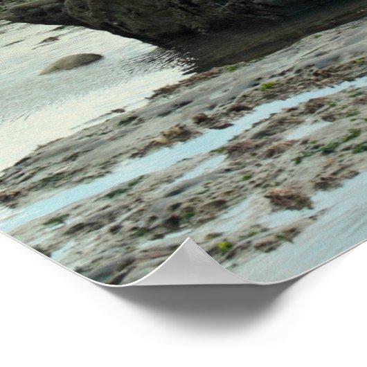 Jurassische Küste, Dorset Poster (Ecke)