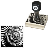 Jurassischer Ammoniak-Negativdruck Gummistempel (Stempel)