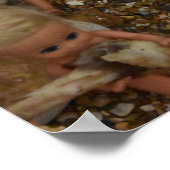 Jurassisches Leben. Poster (Ecke)