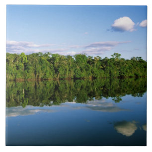 Juruena, Brasilien. Bewaldete Flussufer gespiegelt Fliese