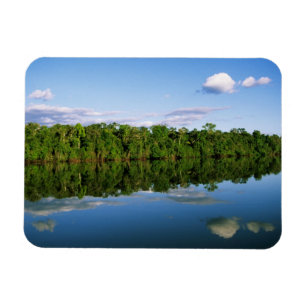 Juruena, Brasilien. Bewaldete Flussufer gespiegelt Magnet