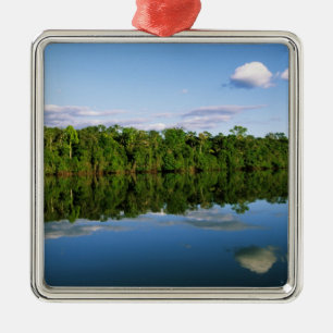 Juruena, Brasilien. Bewaldete Flussufer gespiegelt Silbernes Ornament