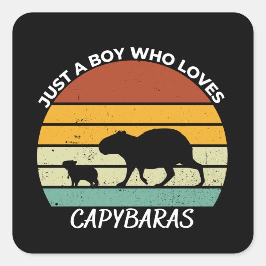 Just a boy who loves capybaras quadratischer aufkleber (Vorderseite)
