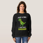 Just A Boy Who Loves Dinosaurs Rawr Rex Dinosaur Sweatshirt (Vorne ganz)