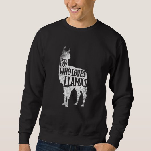 Just A Boy Who Loves Llamas Llama Boys Girls Costu Sweatshirt (Vorderseite)