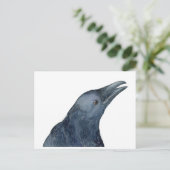 Just a Friendly Caw Postkarte (Stehend Vorderseite)