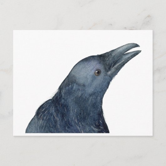 Just a Friendly Caw Postkarte (Vorderseite)