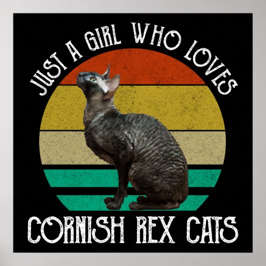 Just A Girl Who Loves Cornish Rex Cats Poster (Vorne)