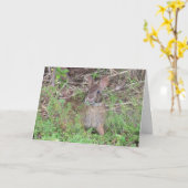 Just a Hare Olter - Birthday Bunny Card Karte (Gelbe Blume)