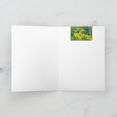 Just a Note Card/Yellow Coneflowers Karte (Innenseite)
