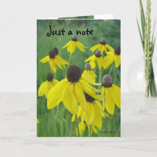 Just a Note Card/Yellow Coneflowers Karte