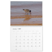 Just Beachy Calendar Kalender (Jan 2027)