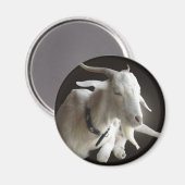 Just Billy Magnet (Vorderseite/Rückseite)