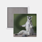 Just Chill Magnet (Vorderseite/Rückseite)