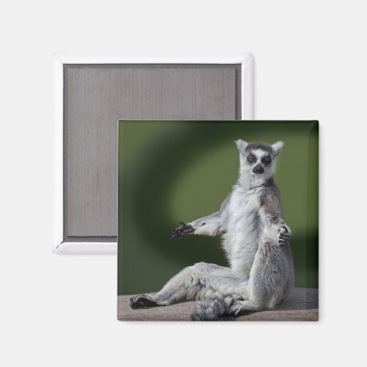 Just Chill Magnet (Vorderseite/Rückseite)