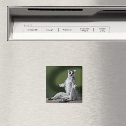 Just Chill Magnet (In Situ (Geschirrspüler))