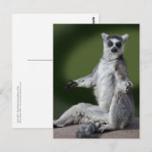 Just Chill Postcard Postkarte (Vorne/Hinten)