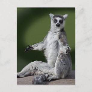 Just Chill Postcard Postkarte