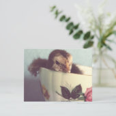 Just Chillin' (Stehend Vorderseite)