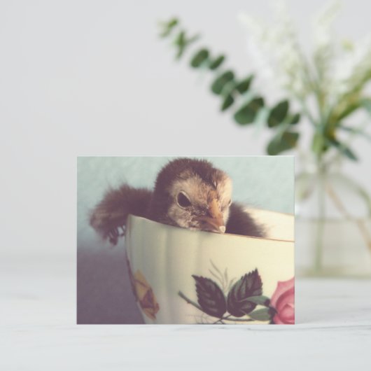 Just Chillin' (Stehend Vorderseite)