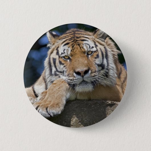 Just Chillin' Abzeichen Button (Vorderseite)