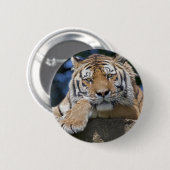 Just Chillin' Abzeichen Button (Vorne & Hinten)