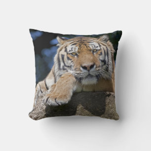 Just Chillin Pillow Kissen