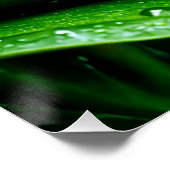 Just Chillin Poster (Ecke)