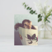 Just Chillin' Postkarte (Stehend Vorderseite)