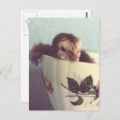 Just Chillin' Postkarte (Vorne/Hinten)