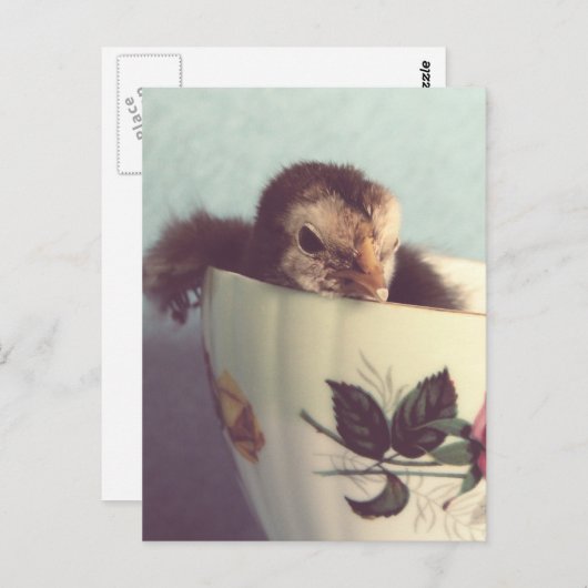 Just Chillin' Postkarte (Vorne/Hinten)