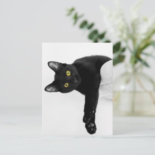 Just Chillin' Postkarte (Stehend Vorderseite)