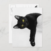 Just Chillin' Postkarte (Vorne/Hinten)