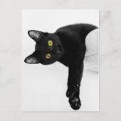 Just Chillin' Postkarte (Vorderseite)