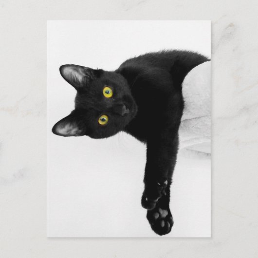 Just Chillin' Postkarte (Vorderseite)