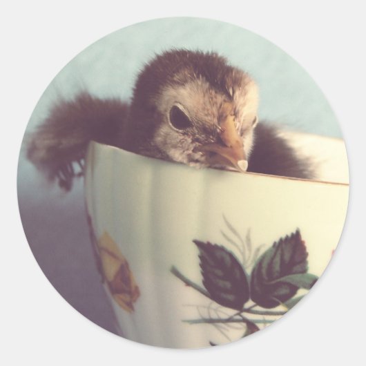 Just Chillin' Runder Aufkleber (Vorderseite)