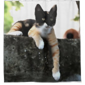 Just Chillin Tricolor Cat Pet Portait Duschvorhang (Vorderseite)
