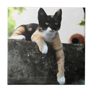 Just Chillin Tricolor Cat Pet Portait Fliese