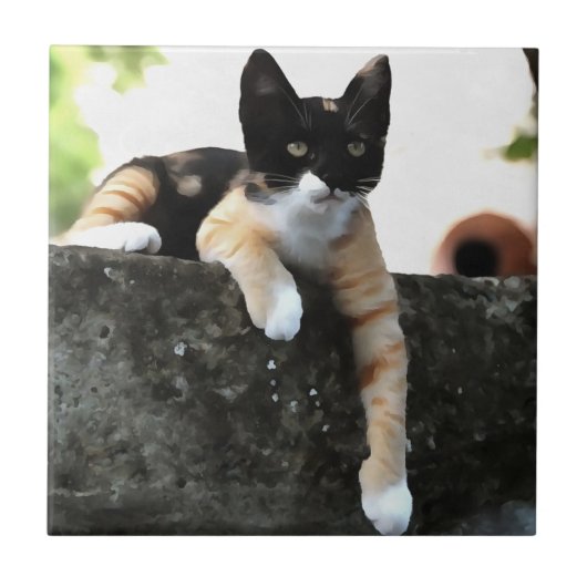 Just Chillin Tricolor Cat Pet Portait Fliese (Vorderseite)