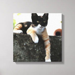 Just Chillin Tricolor Cat Pet Portait Leinwanddruck