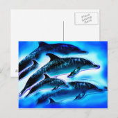 Just Delphins Postkarte (Vorne/Hinten)
