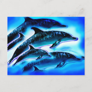Just Delphins Postkarte