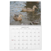 Just Ducky Calendar Kalender (Mär 2027)