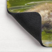 Just Ducky Mousepad (Ecke)