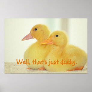 Just Ducky Poster