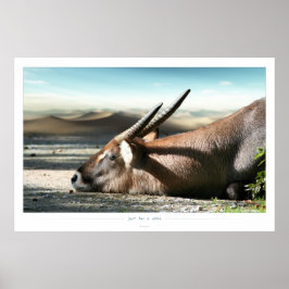 just for a while poster